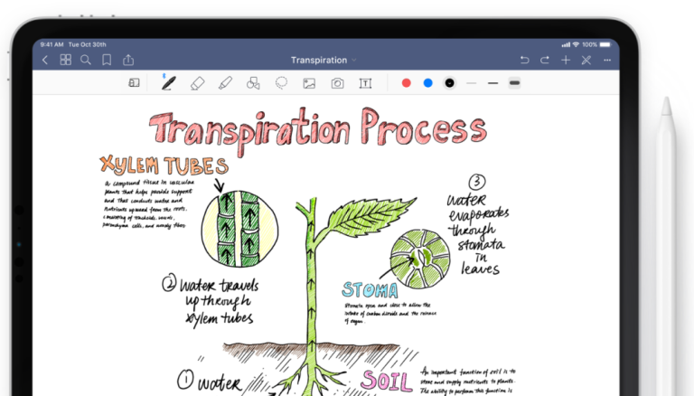 卖GoodNotes，赚了几十万！