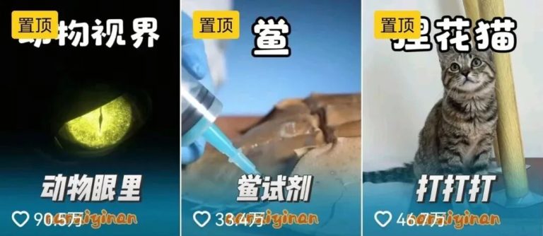 单号涨粉81万！动植物说唱科普太洗脑，另类变现玩法堪称小赛道之王